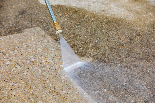 Best Vinyl Siding Pressure Washing in Dwight, IL